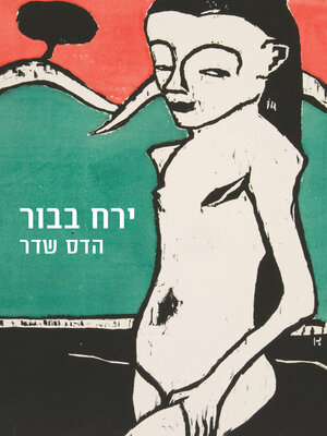 cover image of ירח בבור (Moon in the Hole)